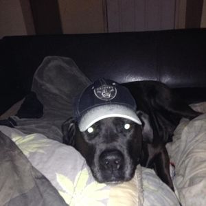 Meet your Posher, Gregg